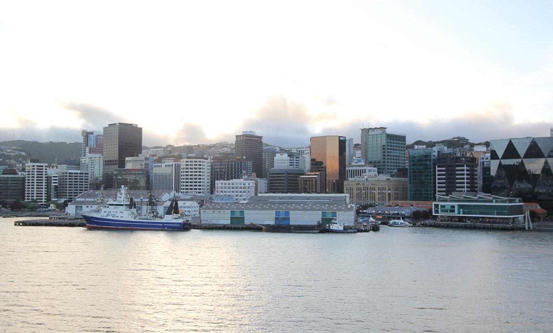 Vue de Auckland au petit jour