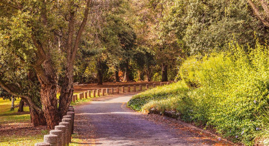 Les parcs où se promener à Johannesburg