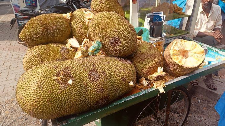 jackfruits in Bangalore