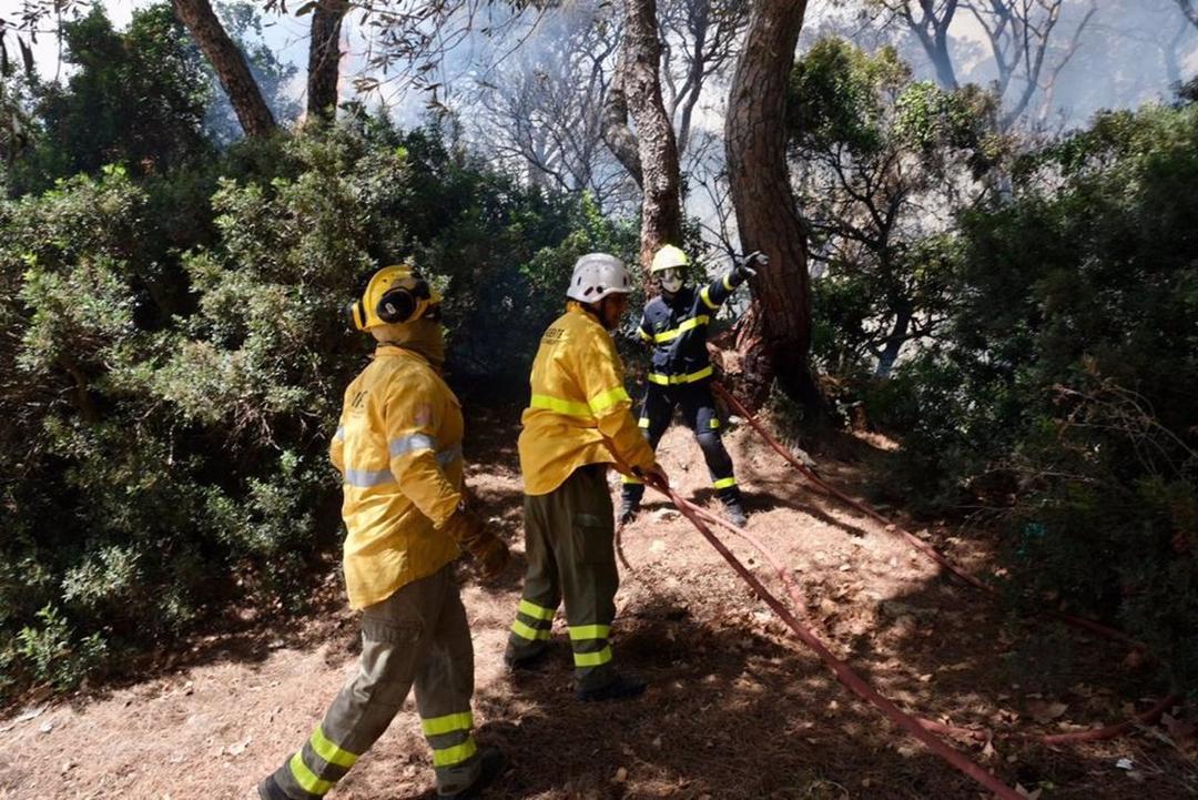 L'activation de “la phase à haut risque” (periodo de alto riesgo de incendios forestales) 