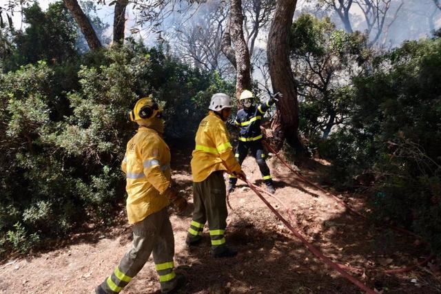 L'activation de “la phase à haut risque” (periodo de alto riesgo de incendios forestales) 