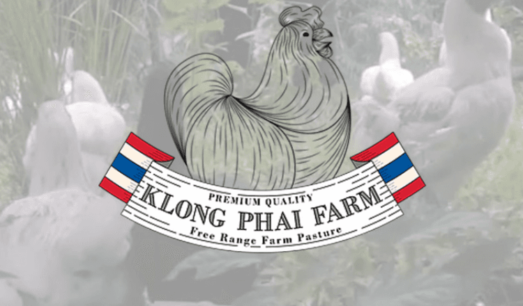 Klong Phai Farm volaille thaïlandaise de qualité et savoir-faire français